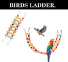 DESPACITO® Parrot Cage, Swing and Ladder with All Colorful Toy(3 pcs).