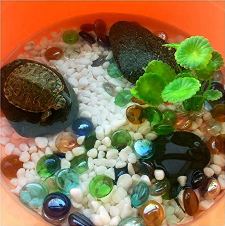 Despacito® Glass Gem Stone, Flat Round Marbles Aquarium Pebbles for Vase Fillers, Landscaping, Crystal Rocks Approx 200 Pcs (Multi Color)