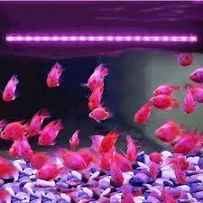 Aquarium LED light for fish tank, waterproof submersible light for fresh and salt water LED bar light lampRS- 400Le (Blue and White)