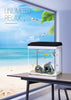 Despacito Aquarium Fish Tank Combo with Led Lighting and Fliter Pump Aquarium Starter Kits Perfect for Small Fishes (Size: 38x22.8x38cm) (32 Litre)