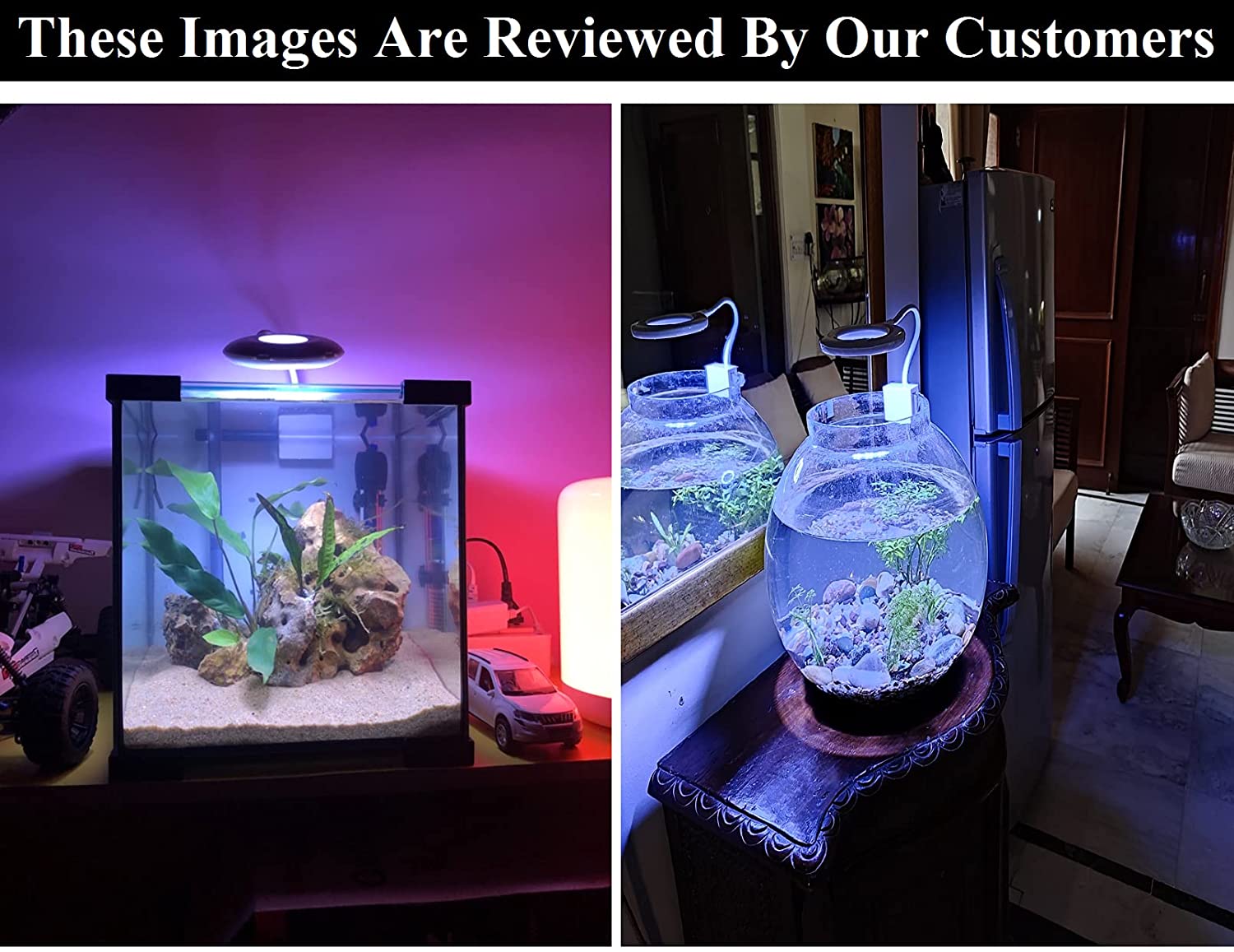 Despacito Aquarium Led Light for Fish Tank, Flexible Lighting Lamp(Blue and White, RS-S70)(Oval Shape)(Led Light for Fish Tank: 1.5 to 2 feet)
