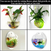 Despacito Wall Mounted Fish Tank for Home, Hanging Fish Tank Aquarium, Aquarium Wall Plant Pot Decoration Planter(Size: 14 x 15inch)(Apple-White)